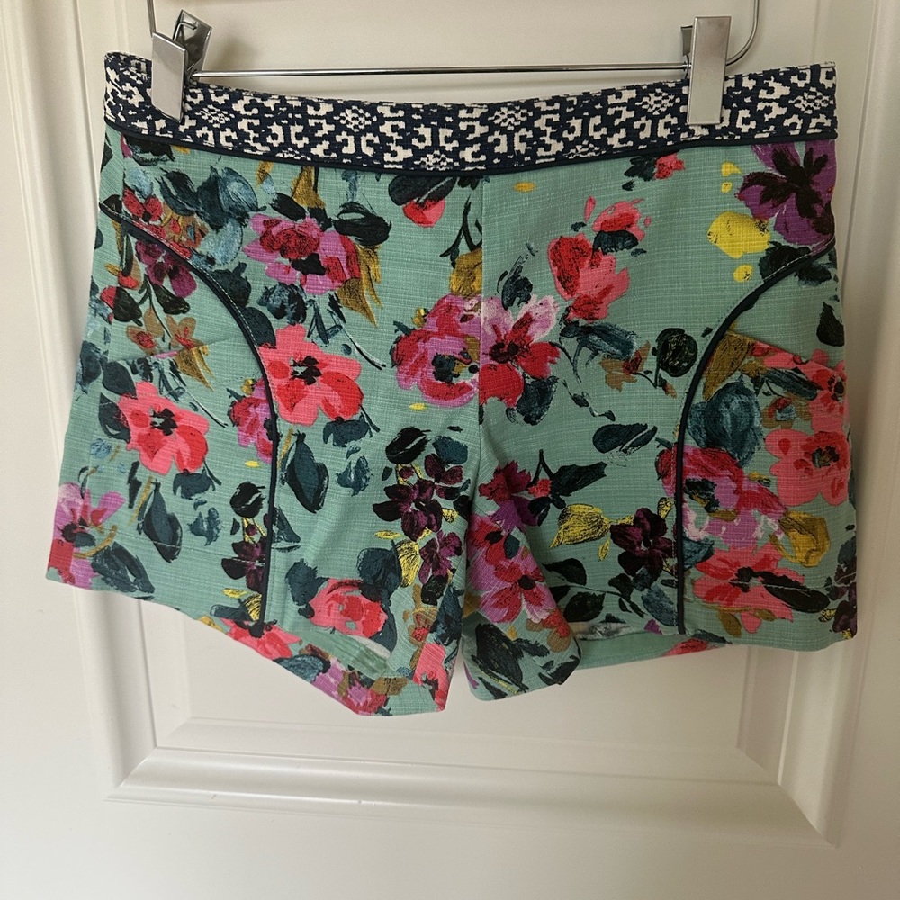 Anthropologie shorts (Cartonnier brand). Worn once.